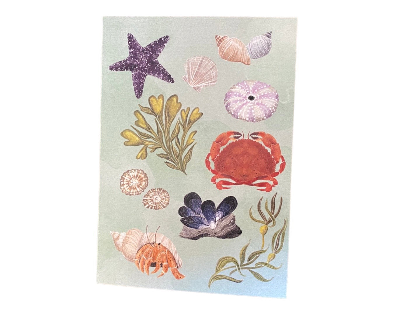 Tidal Pool Greeting Card